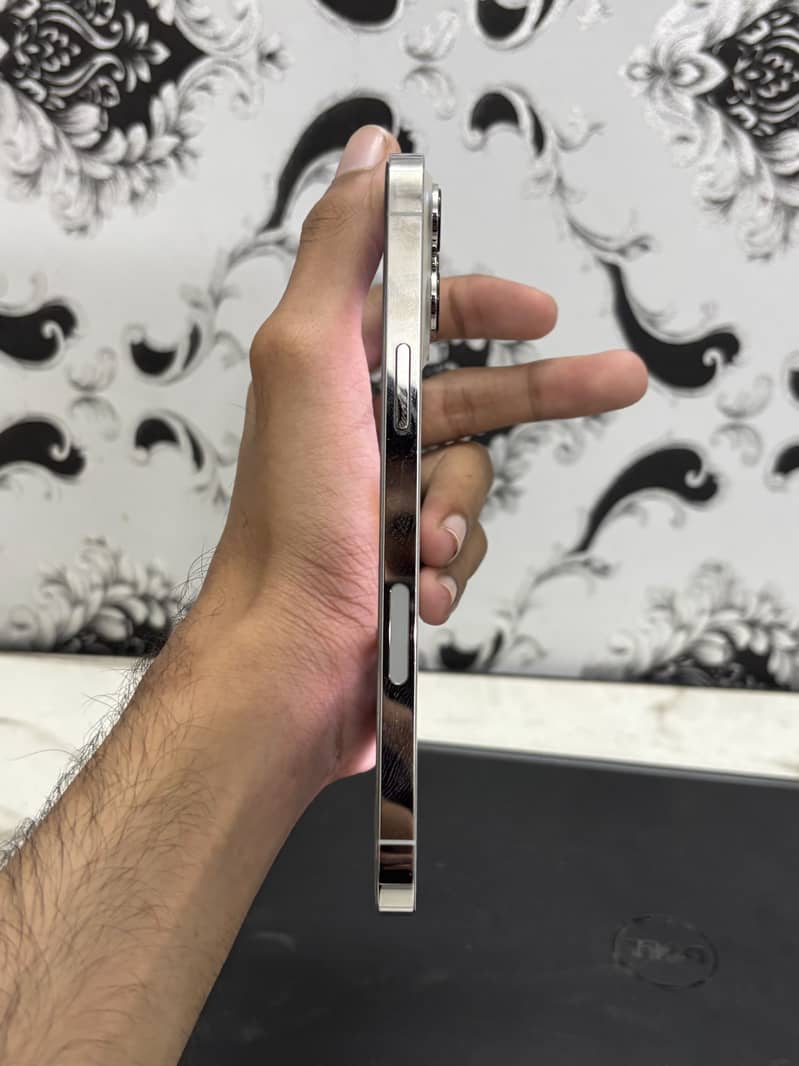 Apple iPhone 13 Pro Max 1