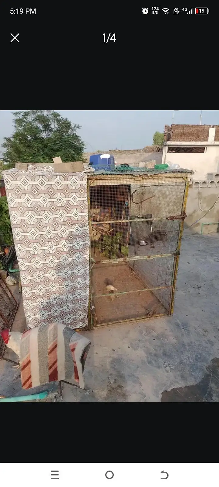9x5x5 Bird Cage for Sale — photo 2