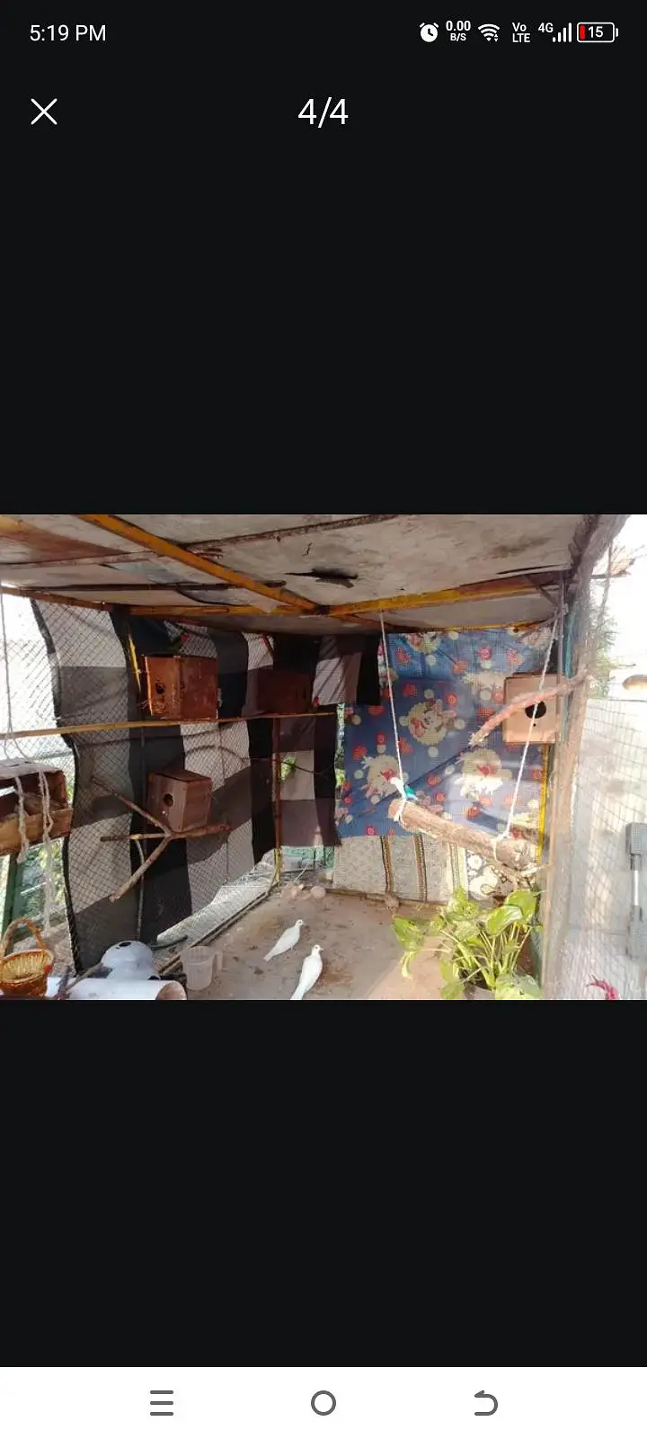 9x5x5 Bird Cage for Sale — photo 3