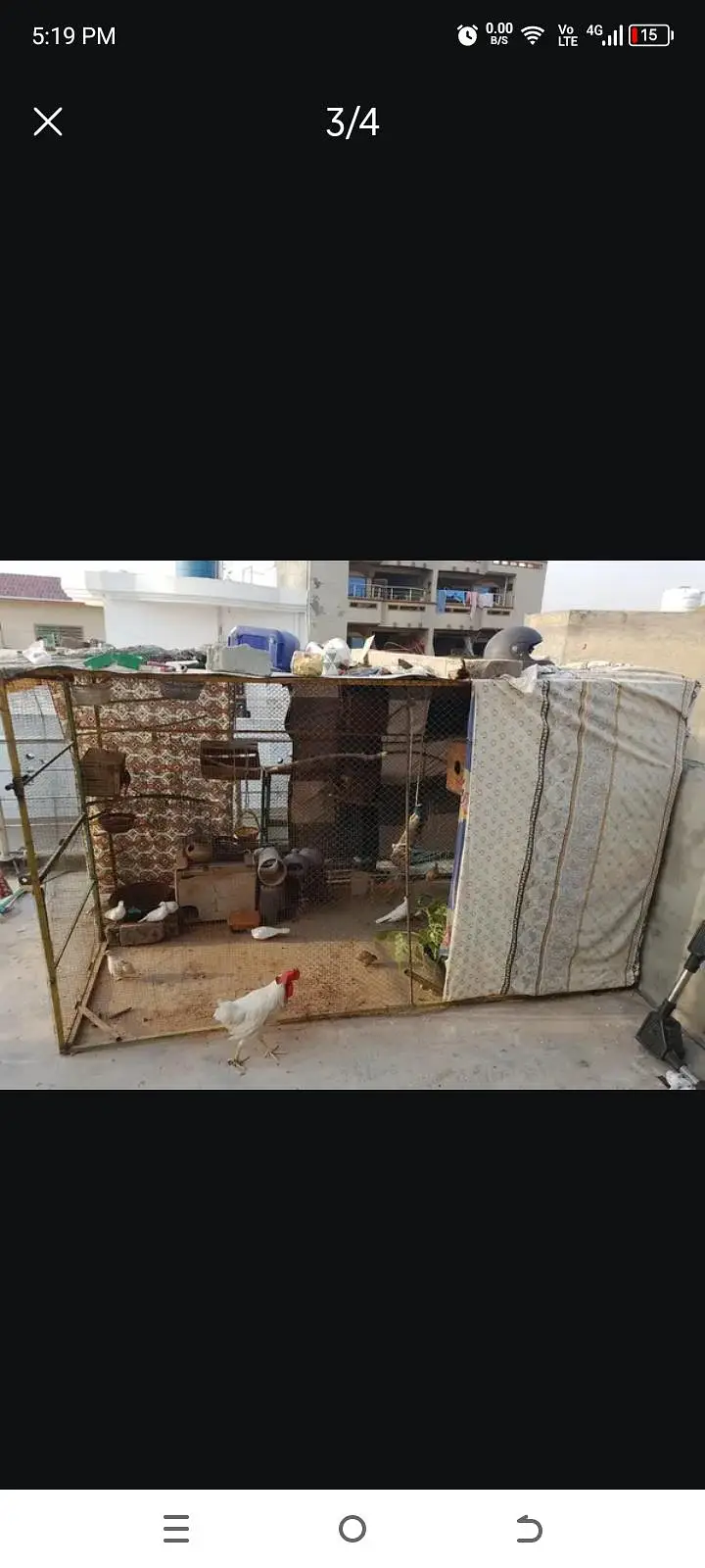 9x5x5 Bird Cage for Sale — photo 4