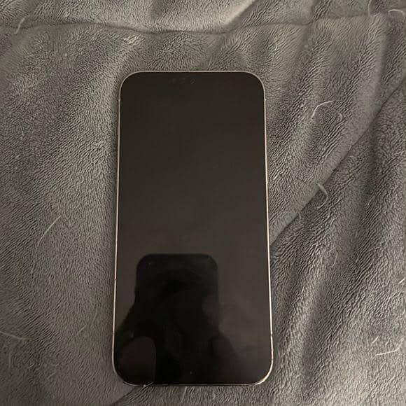Apple iPhone 13 Pro Max 0