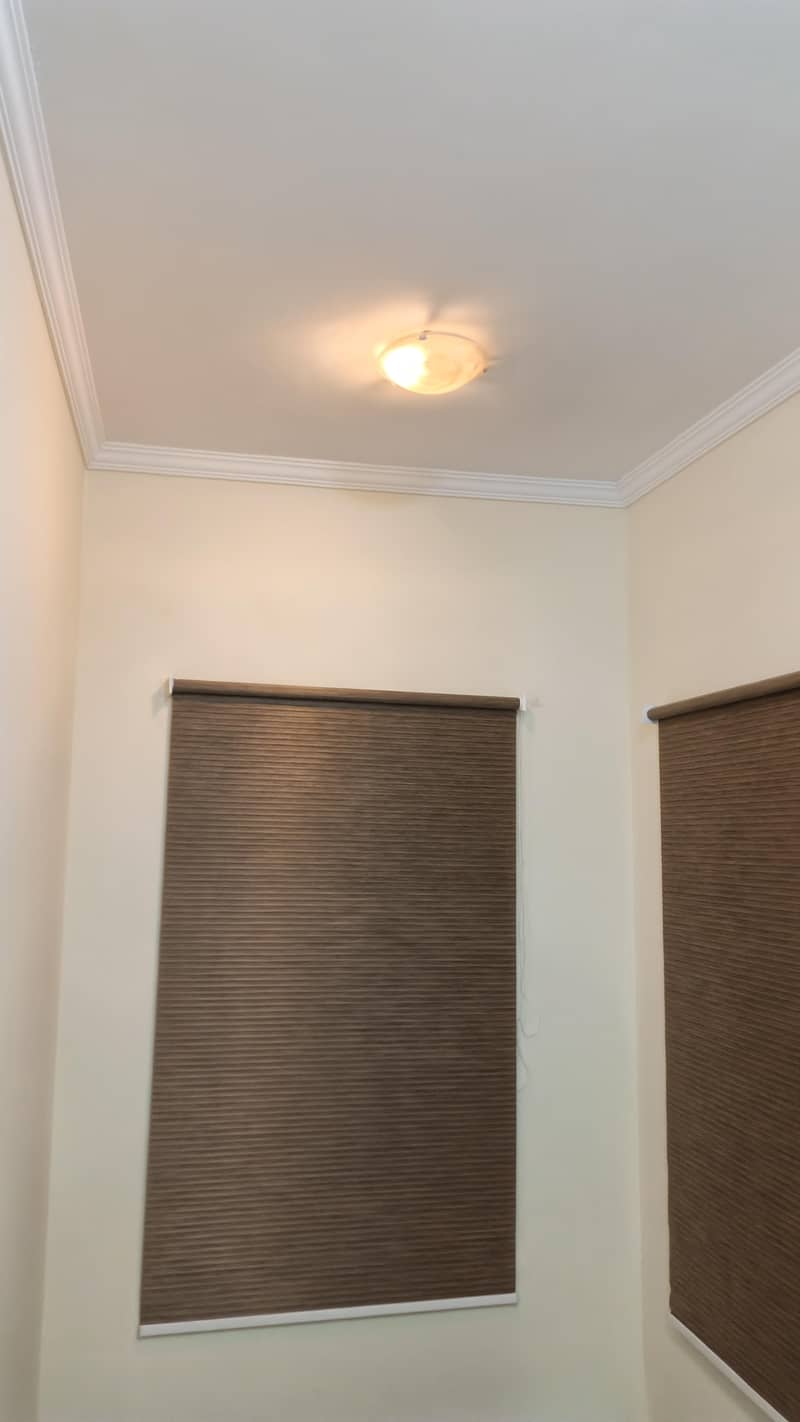 Blinds 13