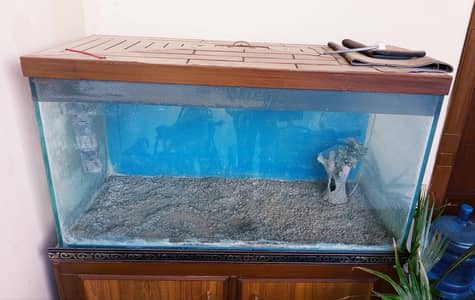 FISH AQUARIUM 4FT (12mm)