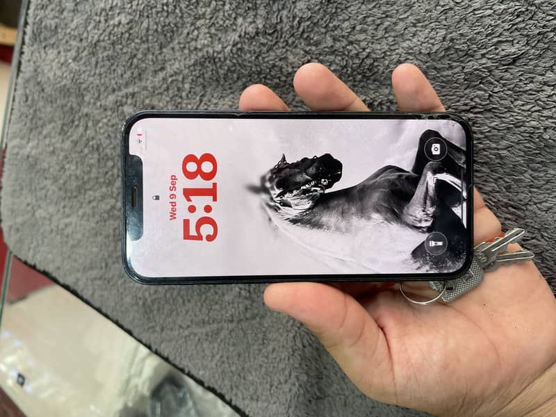 Apple iPhone 12 0