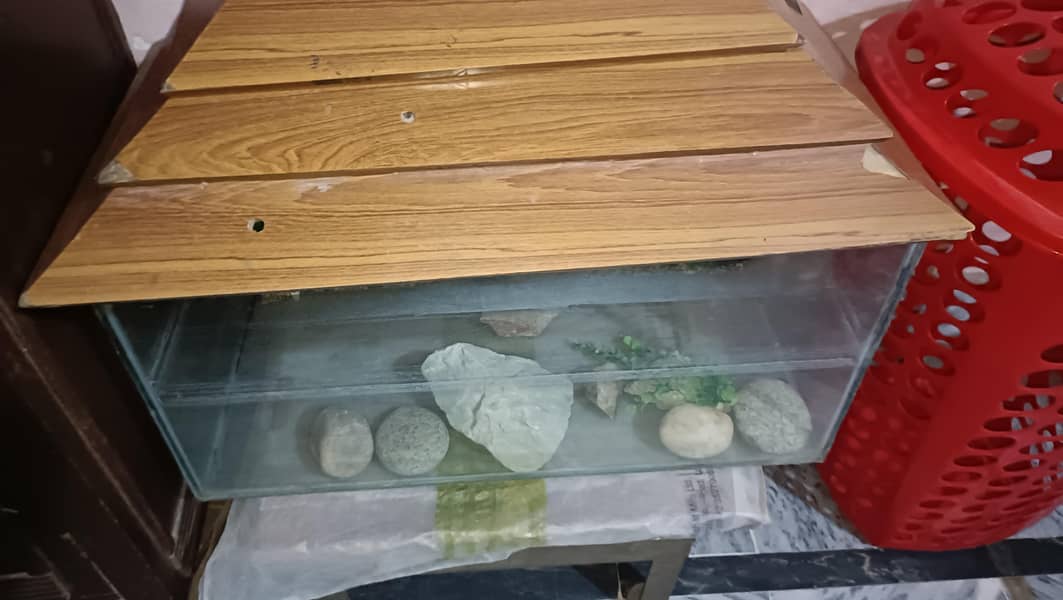 Aquarium 0