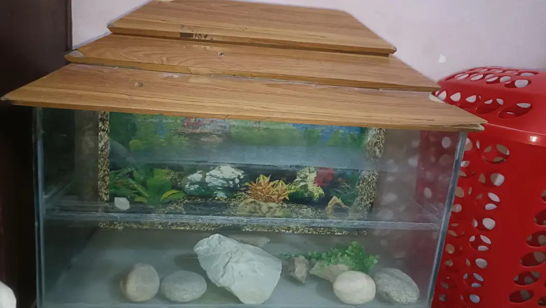 Aquarium — photo 2
