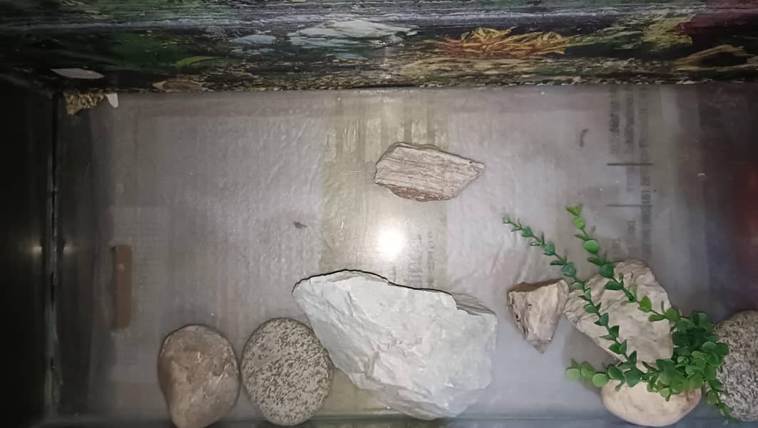 Aquarium 2