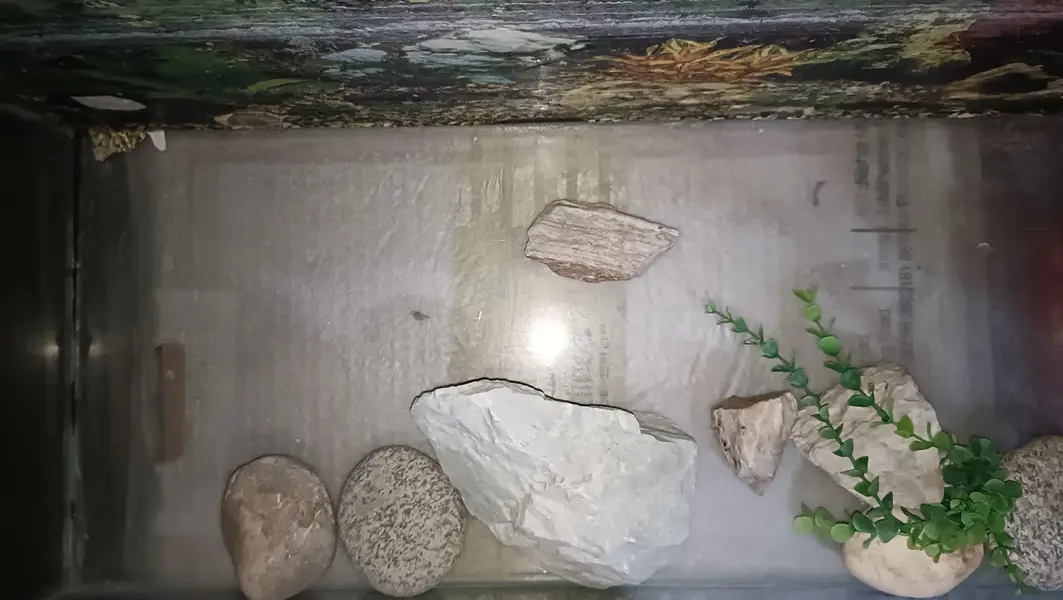 Aquarium — photo 3