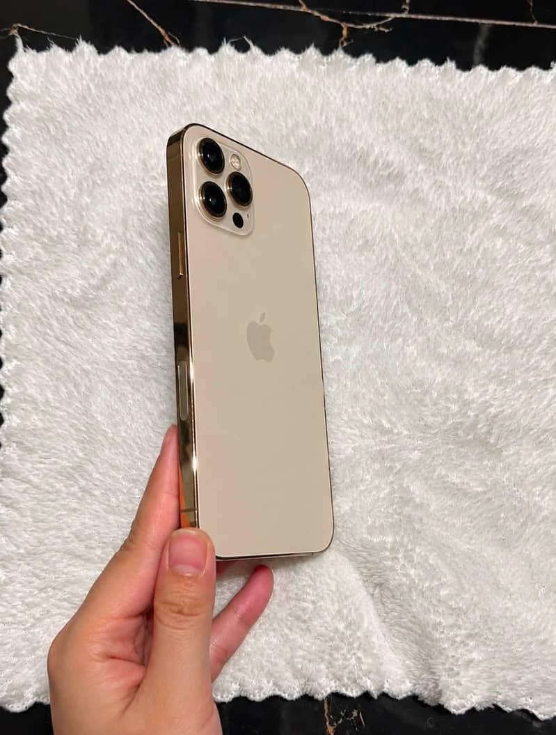 Apple iPhone 12 Pro Max 1