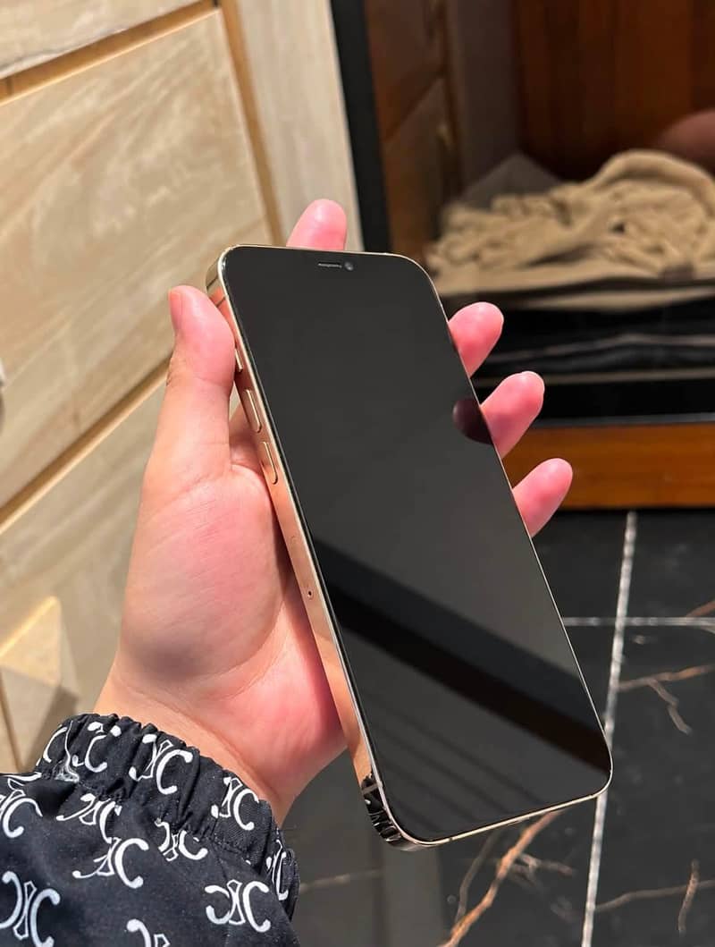 Apple iPhone 12 Pro Max 2