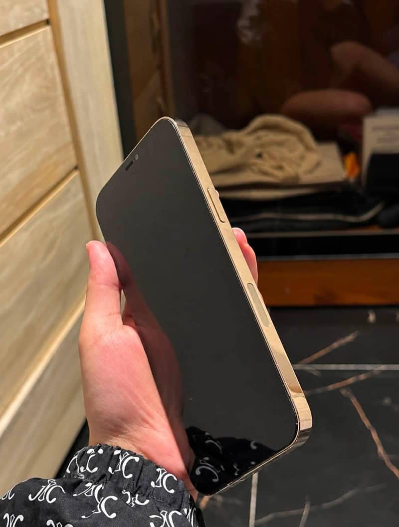 Apple iPhone 12 Pro Max 3