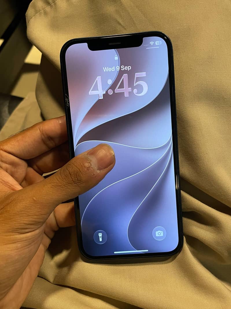Apple iPhone 12 0