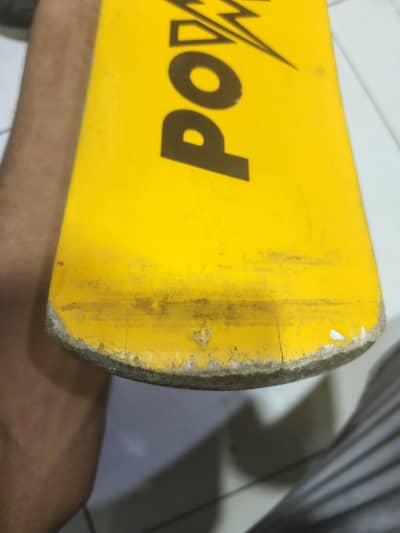 cricket bat for sale