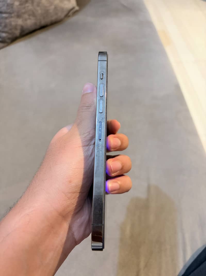 Apple iPhone 13 Pro Max 1