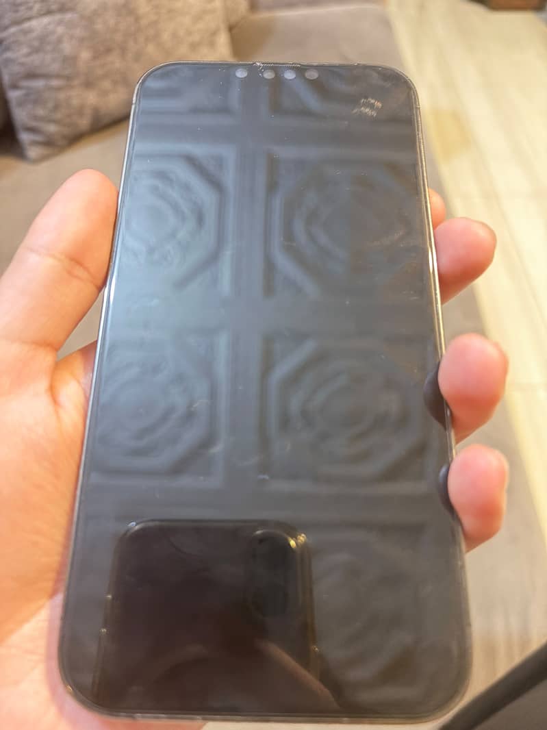 Apple iPhone 13 Pro Max 3