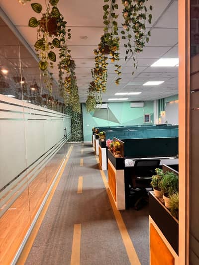 3000 Sqft Commercial Floor For Rent Shadiwal Chowk