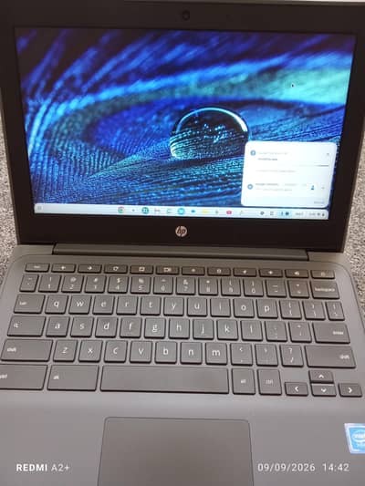 Chromebook 11 G8