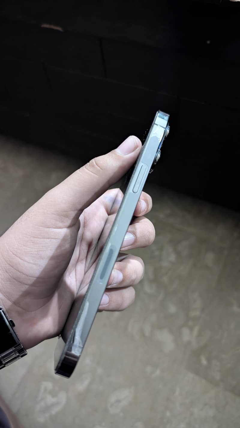 Apple iPhone 13 Pro Max 1