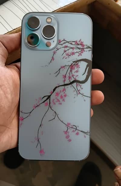 Apple iPhone 13 Pro Max