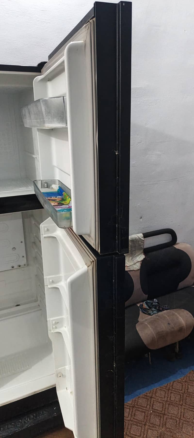frige 1