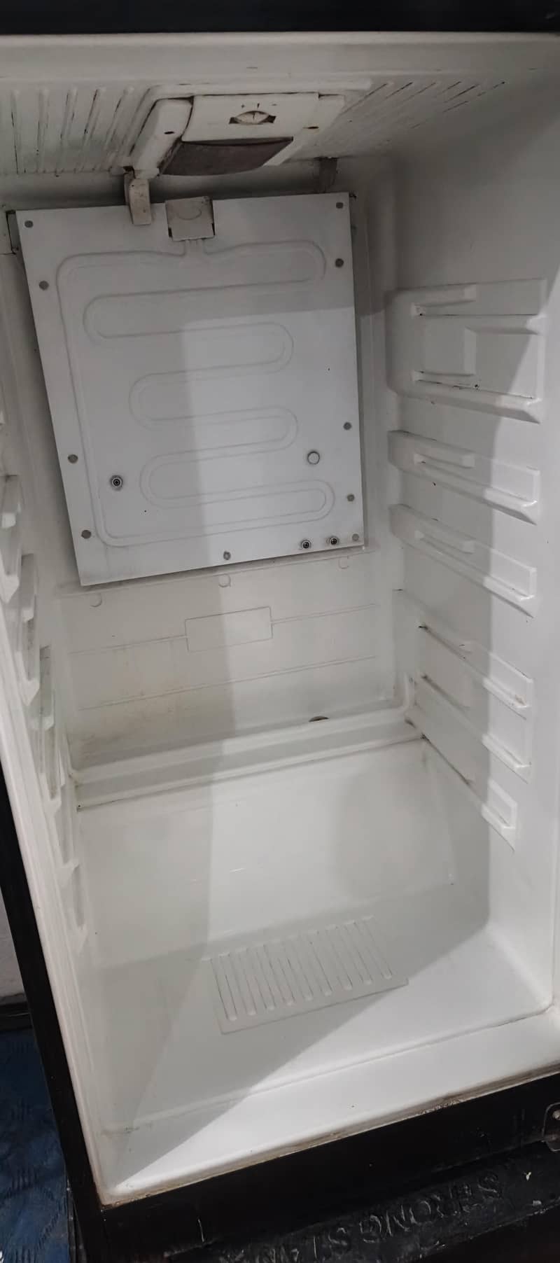 frige 2
