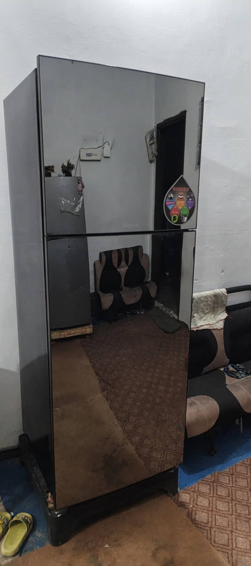 frige 9