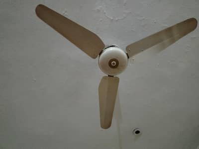 celling fan