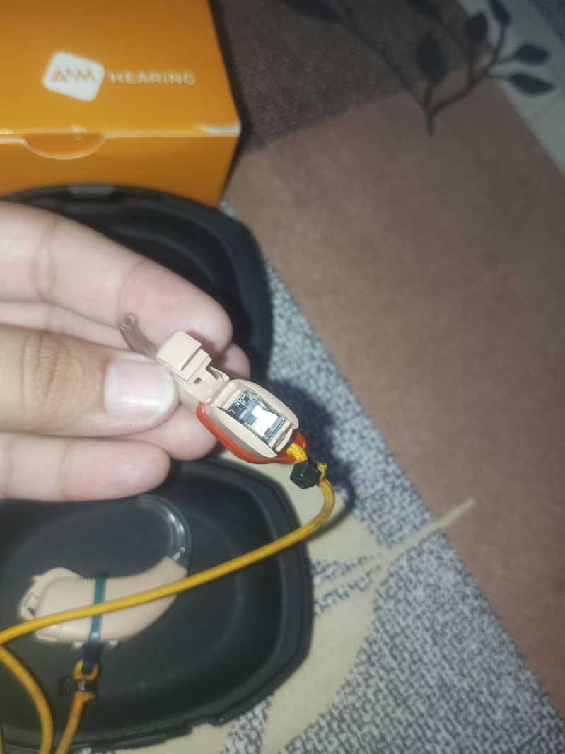 hearing aids 1