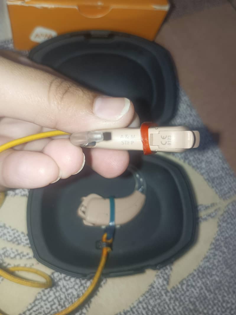 hearing aids 2