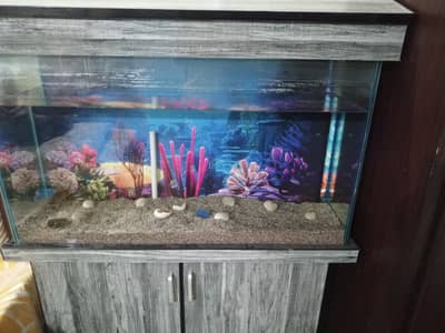 3 feet Aquarium tempered glass