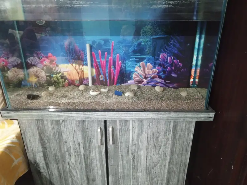 3 feet Aquarium tempered glass — photo 3