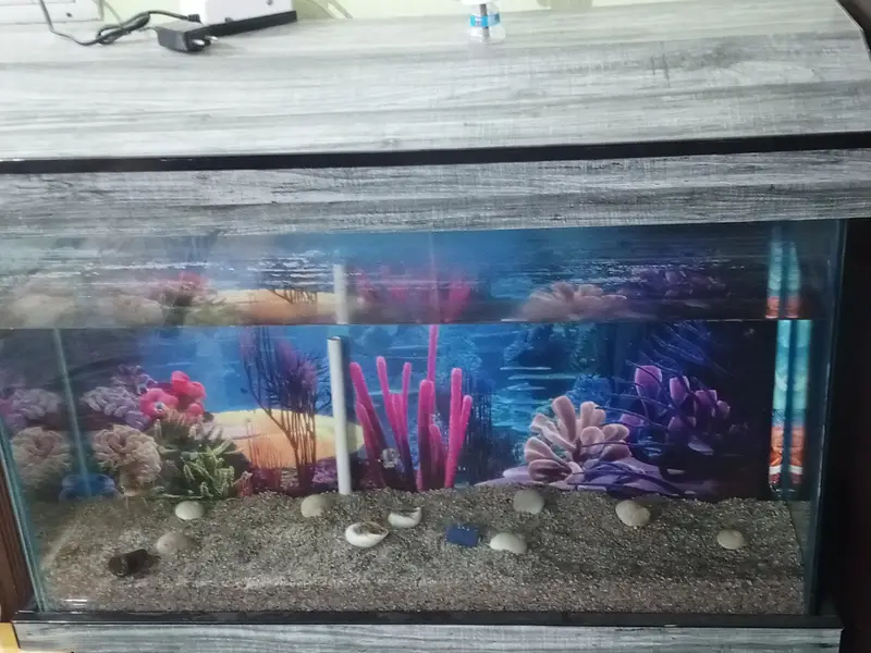 3 feet Aquarium tempered glass — photo 5