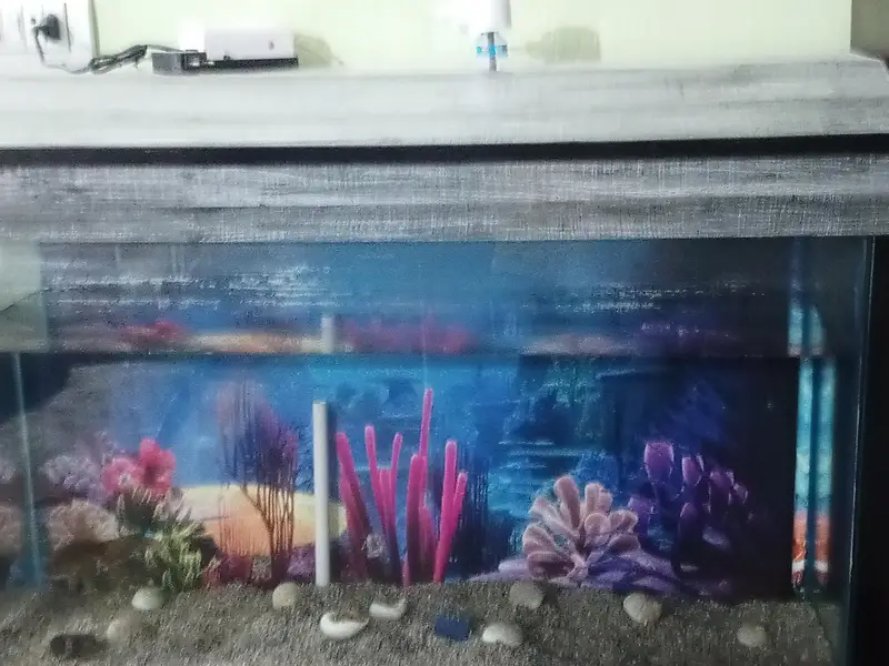 3 feet Aquarium tempered glass — photo 6