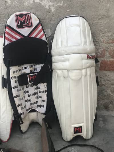 Cricket kit hasil kary sasti or myari