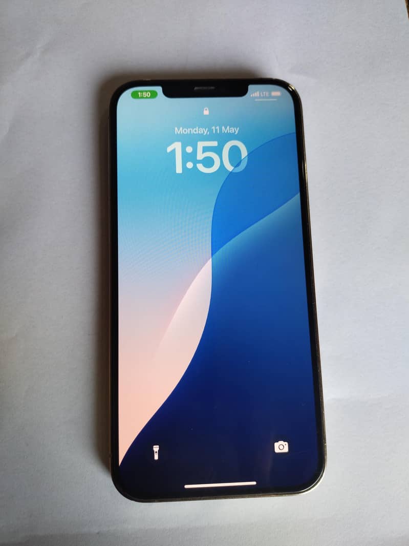 Apple iPhone 12 Pro Max 1