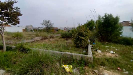 5 Marla Plot for Sale | Zamar Vally