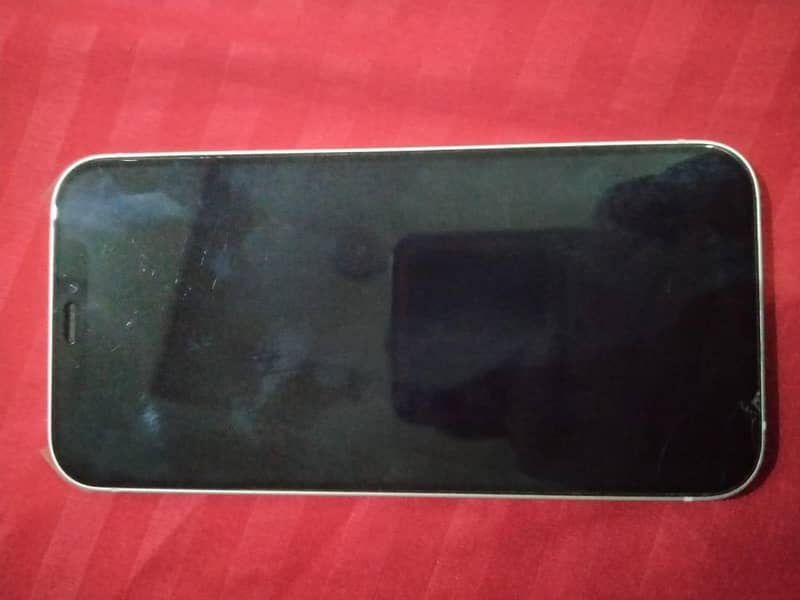 Apple iPhone 12 1