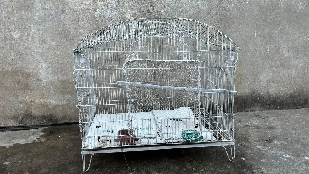 Large Birds and Cat Cage with Stand Legs (2.5 x 1.5 x 2 ft) — photo 2