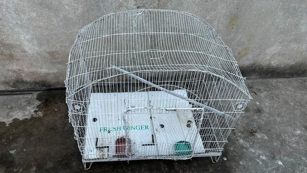 Large Birds and Cat Cage with Stand Legs (2.5 x 1.5 x 2 ft) — photo 3