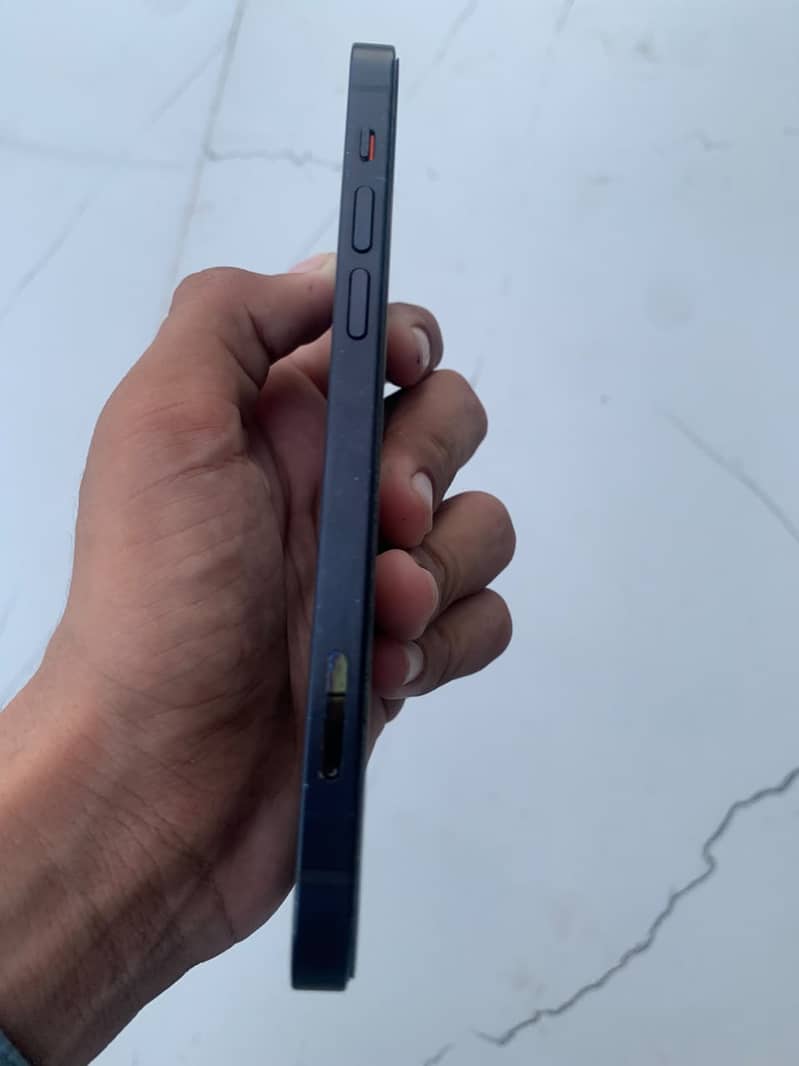Apple iPhone 12 1