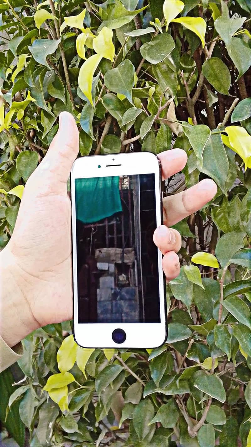 Apple iPhone 8 6