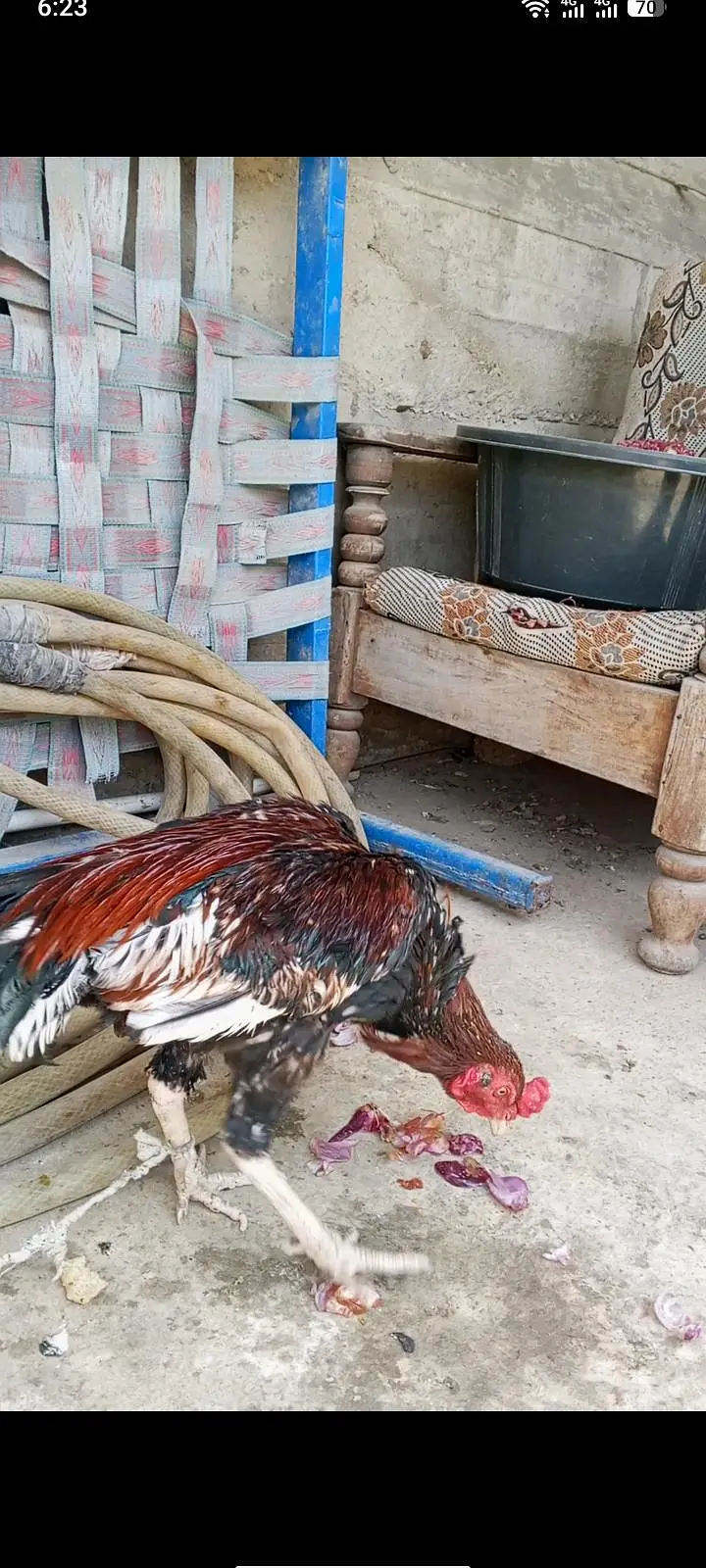 sjkmnsna — photo 3