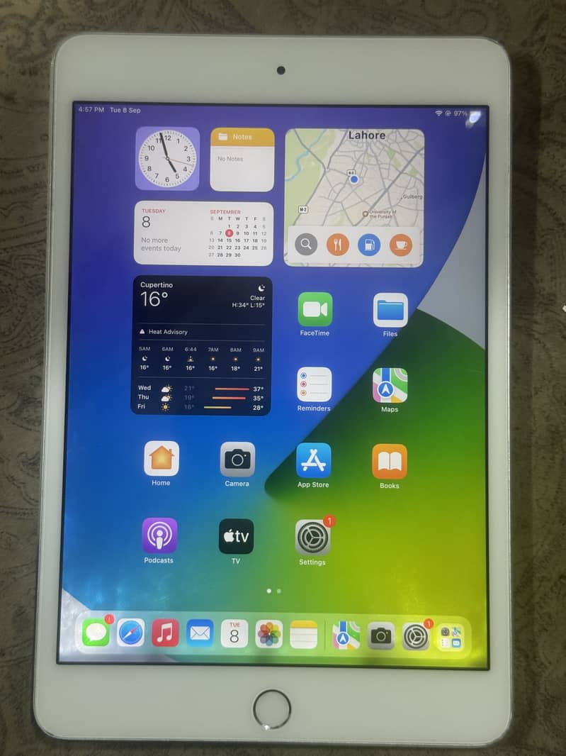 ipad Mini 4 1