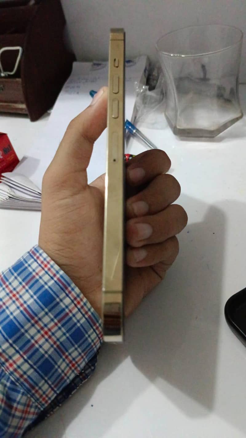 Apple iPhone 13 Pro Max 1