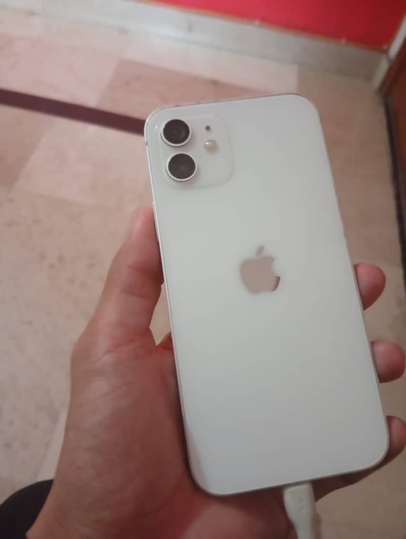 Apple iPhone 12 1