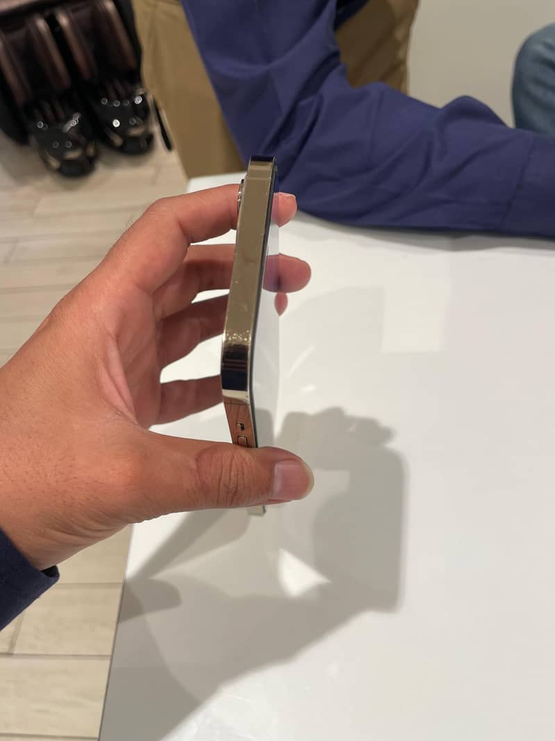 Apple iPhone 12 Pro Max 2