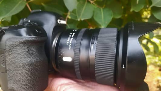 mark ‼ with lens