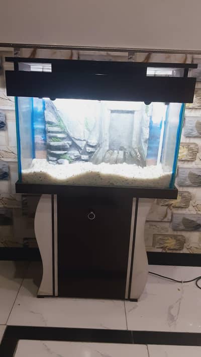 Beautiful Aquraium for sale