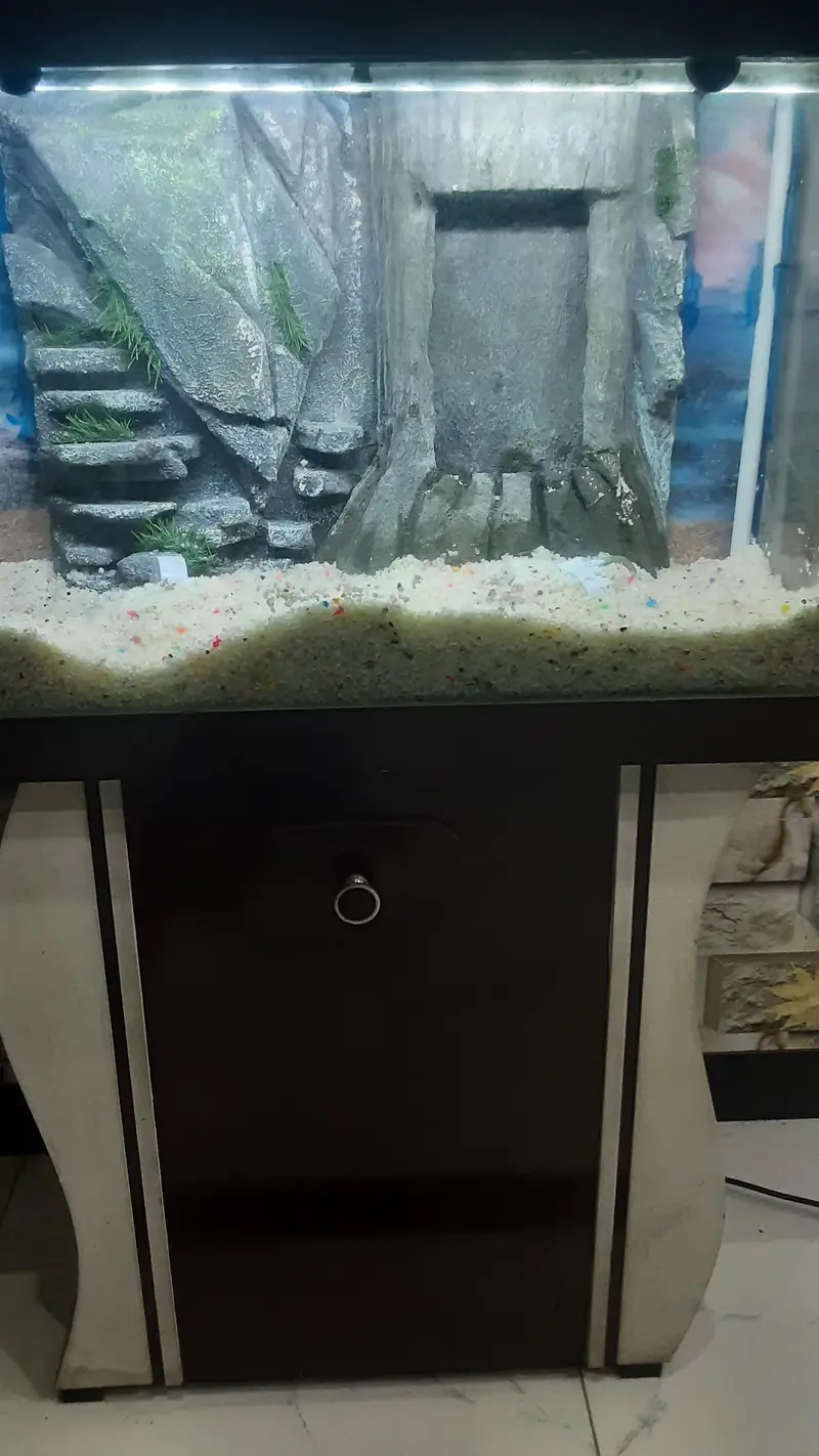 Beautiful Aquraium for sale — photo 2
