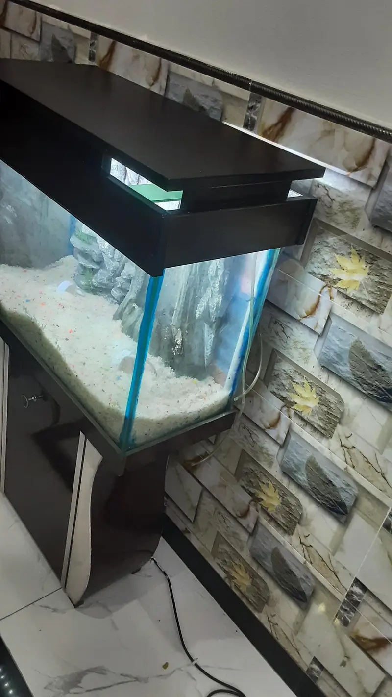 Beautiful Aquraium for sale — photo 3